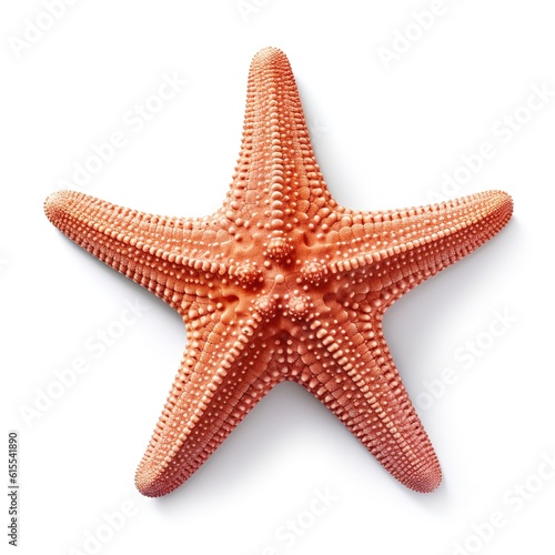 red starfish isolated on white
