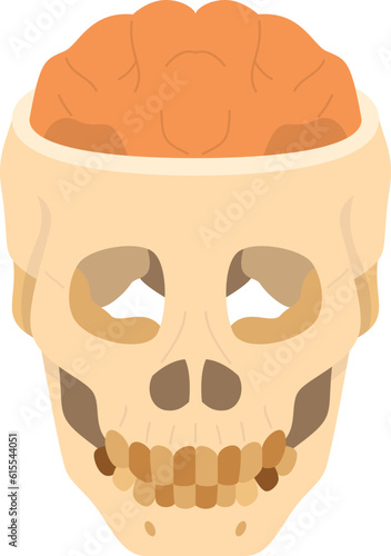 skull  icon