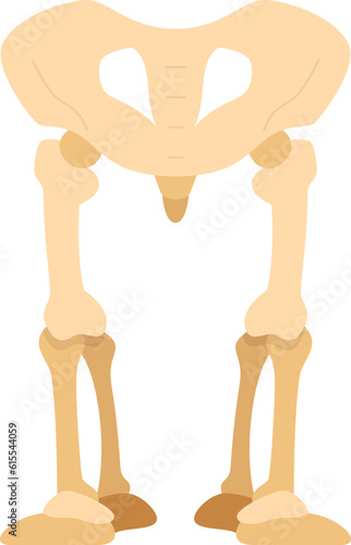 pelvic  icon