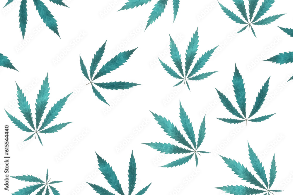 Pattern of cannabis leaves in blue pastel color on a white background. Creative layout. Abstract stylish background. Flat lay. Pattern of cannabis leaves in blue pastel color on a white background. Creative layout. Abstract stylish background. Flat lay.