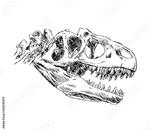 Dinosaur skull skeleton. Allosaurus lizard. Scary monster predator with teeth. The science of paleontology. Black and white vector illustration sketch. Hand drawn ink on white background