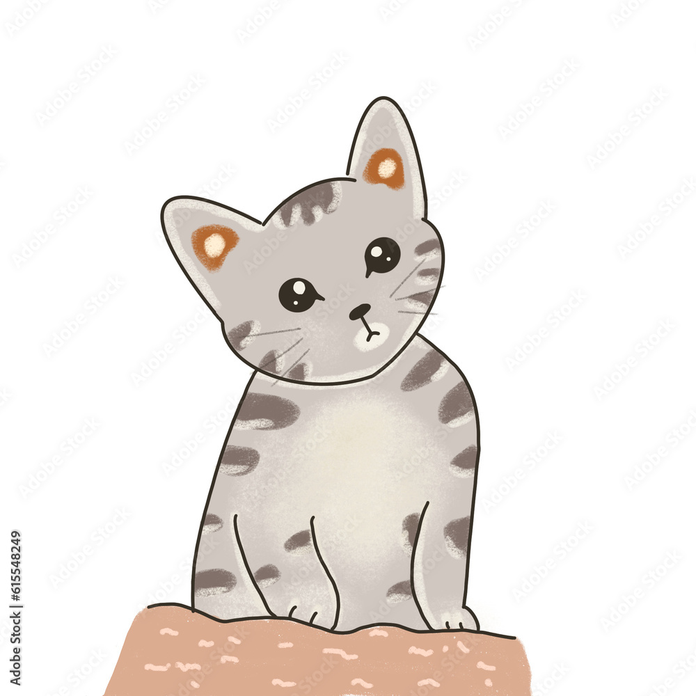 Fototapeta premium cat with a smile