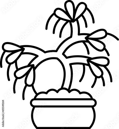 bonsai  icon