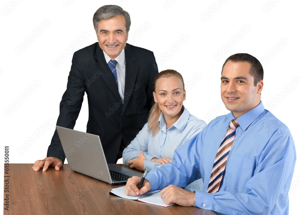 Fototapeta premium Portrait of Business People Working with Laptop