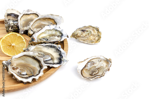 oysters with lemon on a white background for the site 3