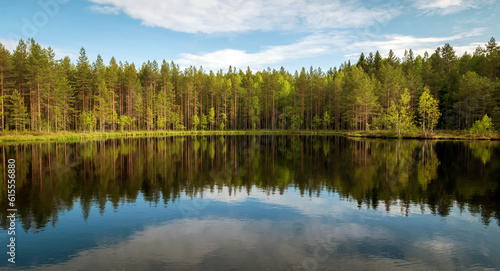 Lake in the Karelian forest. Beautiful summer panoramic landscape with a pond and trees.