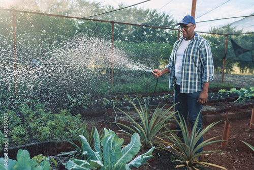 small Latin rural producer watering his garden with a hose in a small rural property in Brazil