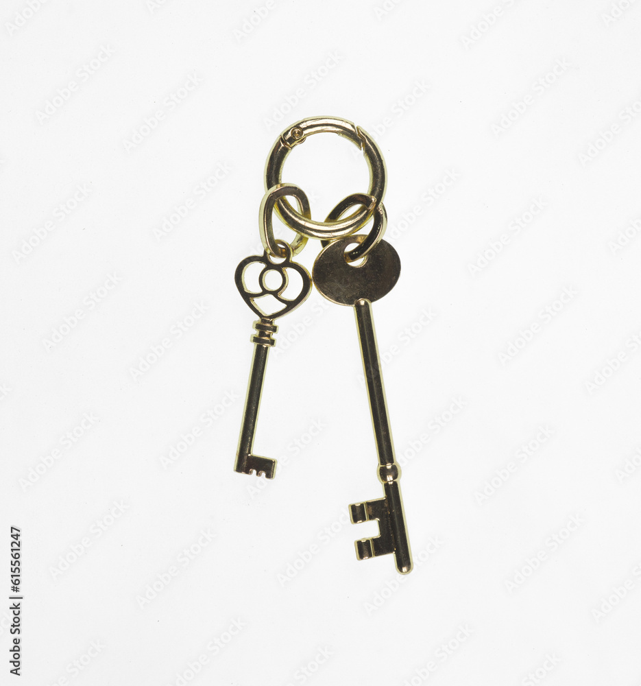 bunch of golden keys isolated on white background bunch of golden keys isolated on white background