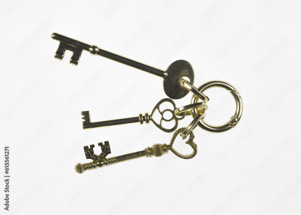 bunch of golden keys isolated on white background bunch of golden keys isolated on white background