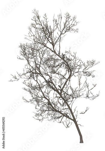 Wallpaper Mural Collection of trees in various seasonal colors realistic 3D illustration bare 3 Torontodigital.ca