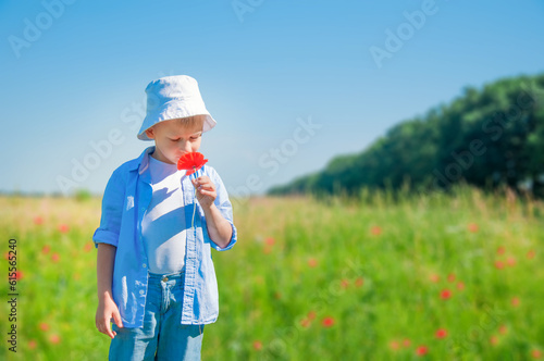 Cute boy walks in the meadow sniffs and collects flowers in a bouquet for mom or grandmother as a gift, sunny day, vacation, childhood, vacation, joy. space for text.