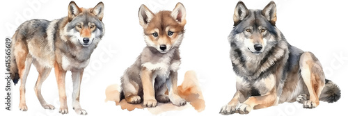 Watercolour illustration of three wolfs isolated on white background as transparent PNG  generative AI clipart animal bundle