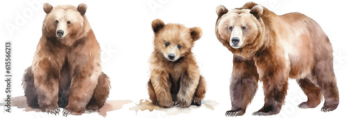 Watercolour illustration collection of three brown grizzly bears isolated on white background as transparent PNG, generative AI animal clipart bundle