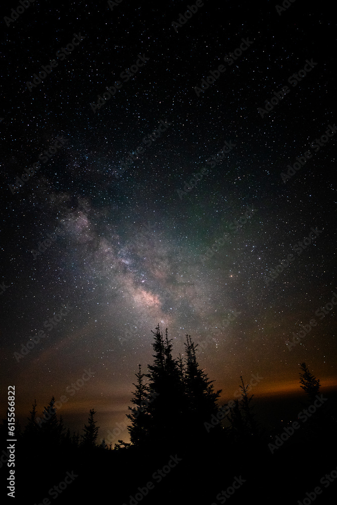 Fototapeta premium starry night sky and milky way