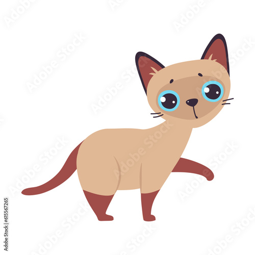 Funny Brown Cat with Cute Snout as Domestic Pet Walking Vector Illustration