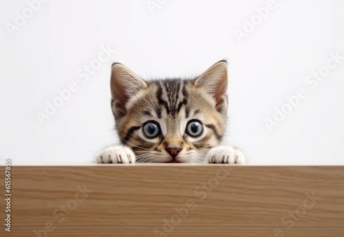 Adorable American Shorthair Kitten Peeking Out from Behind White Table with Copy Space, Isolated on White Background. Generative AI.