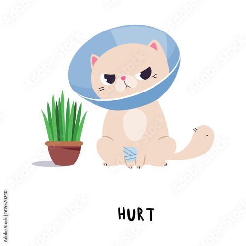 Funny Cat Wear Collar Hurt as English Verb for Educational Activity Vector Illustration