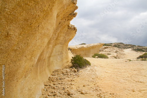 Uplifted wavecut notch on Crete, Greece, shows that the land has been lifted up or the sea level has fallen photo