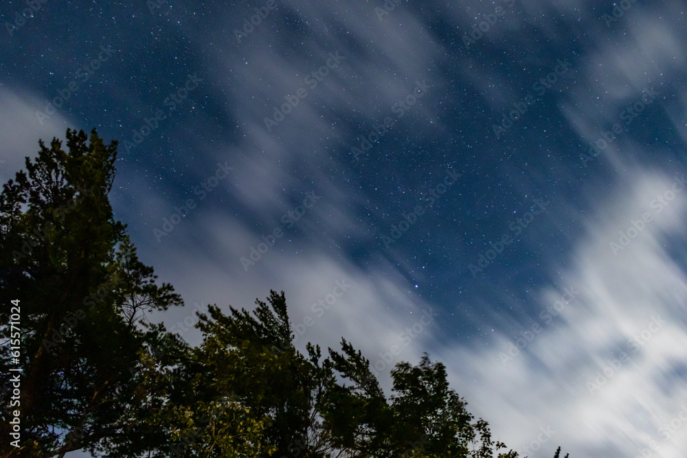 starry sky in the woods starry sky in the woods