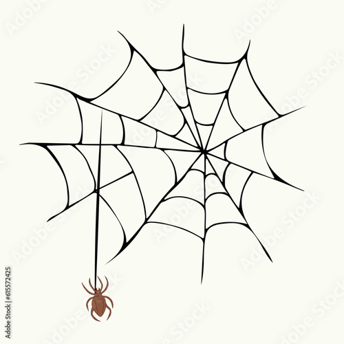 Vector illustration of a hand drawn spider and a web.
