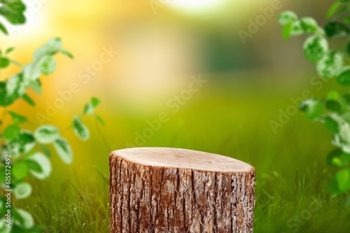 Tree trunk Podium on nature background