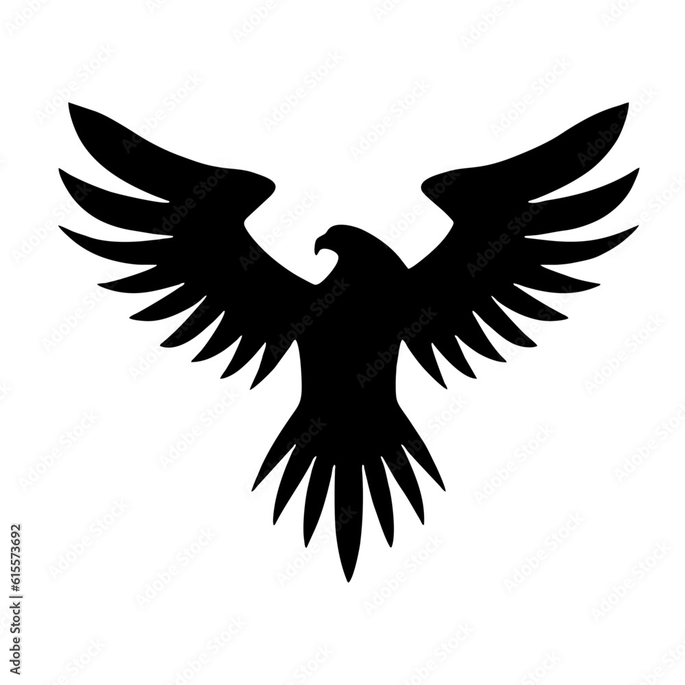 Obraz premium eagle and wings