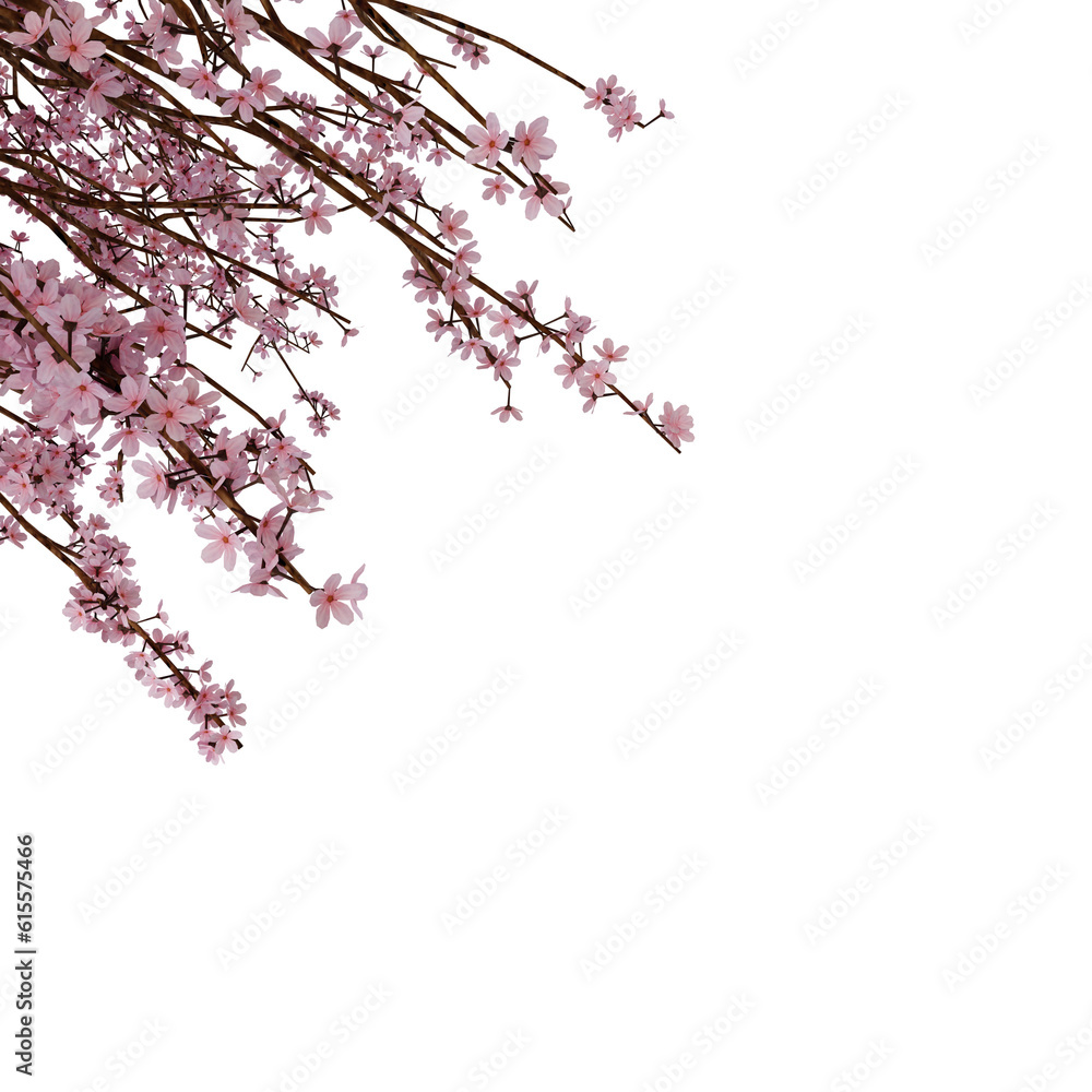 Pink Sakura Frame Cherry Blossom. Realistic 3D Render. Cut Out.
