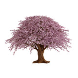 Pink Sakura Tree Cherry Blossom. Realistic 3D Render. Cut Out.
