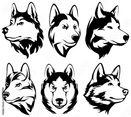 Heads of dogs. Wolf. abstract character illustrations. Graphic logo of husky design template for emblem. Image of portraits.
