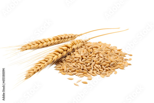 Horizontal wheat ears isolated on a white background with clipping path. Full Depth of field. Generative AI	
 photo