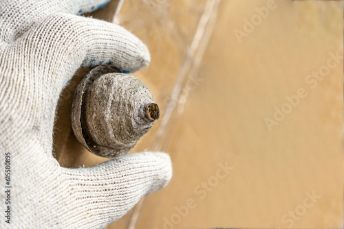 Foto man's hand in a protective work glove removes a wasps nest