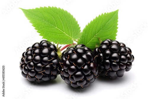 Illustration of blackberries with green leaves on a white background created with Generative AI technology