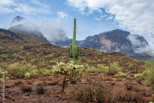 Clouds swirl around Picacho Peak State Park and the saguaro and cholla