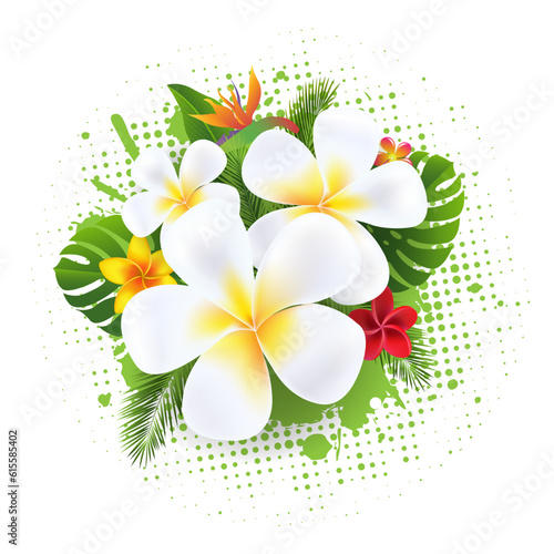 Flower Background With Frangipani White Background