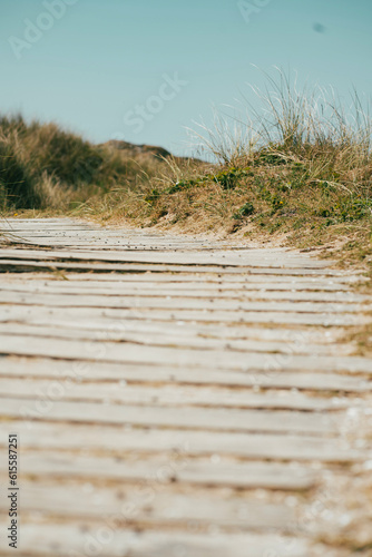 Low view of beach path