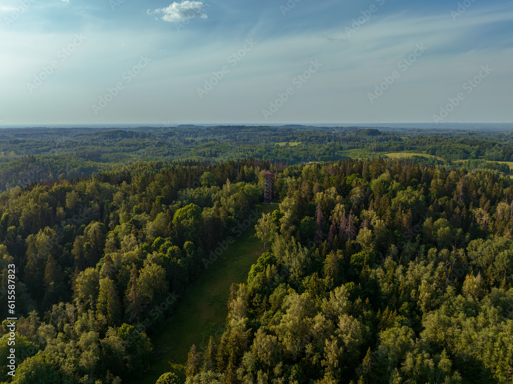 Jaunlaicene parish, Aluksne county. Landscape near Dēliņkalns observation tower.