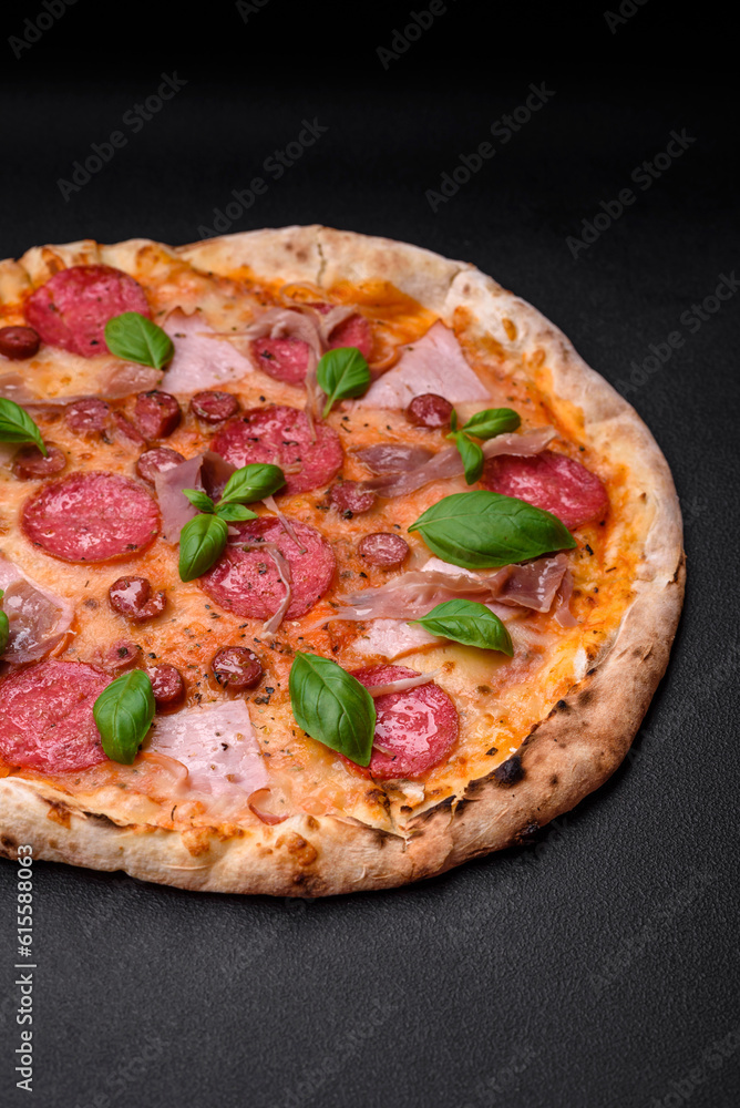 Delicious fresh oven baked pizza with salami, meat, cheese, tomatoes