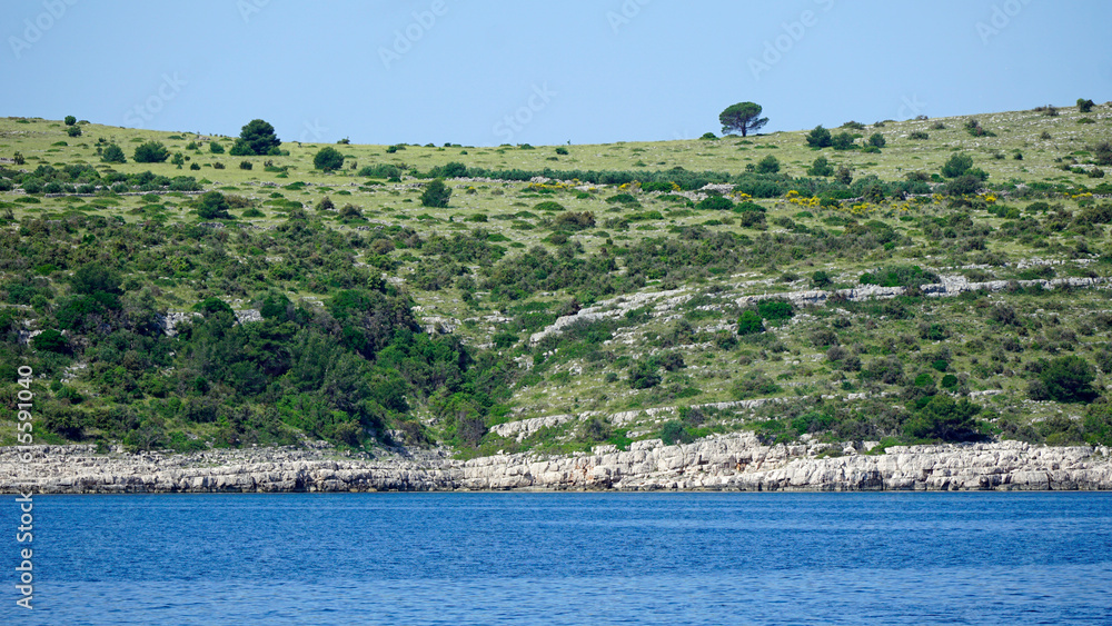 green landscape on the kornati islands green landscape on the kornati islands