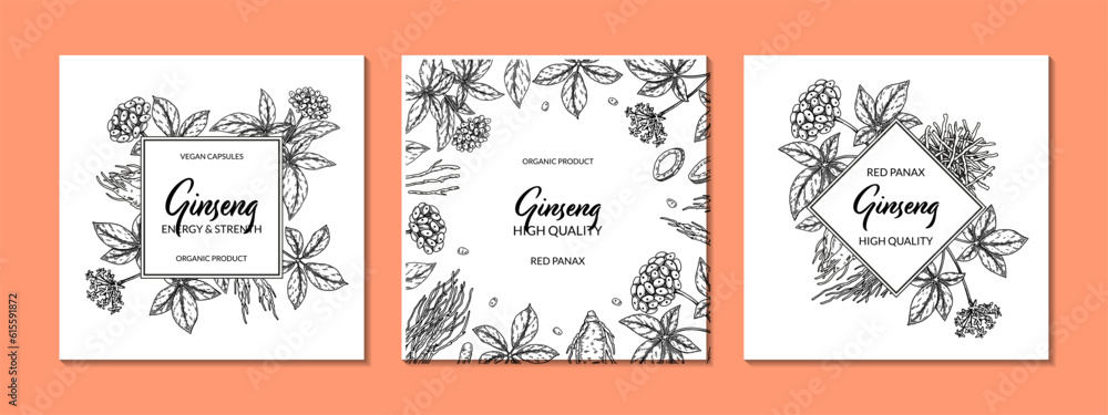 Set of ginseng square designs. Hand drawn botanical vector illustration in sketch style. Can be used for packaging, label, badge. Herbal medicine background