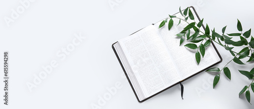Bilde på lerret Holy Bible and branch on white background with space for text