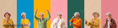Collage of stylish senior w...