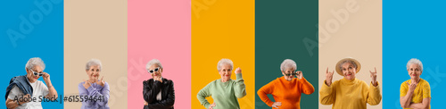 Collage of stylish senior w...