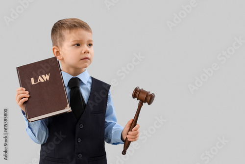 Cute little judge with law ...