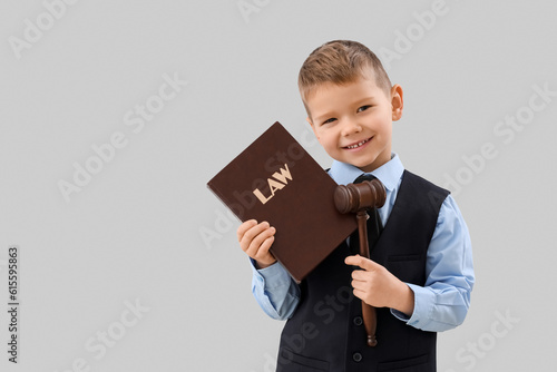 Cute little judge with law ...