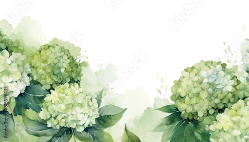 Fotografia floral watercolor background green hydrangea flower