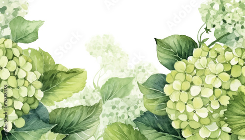 floral watercolor background green hydrangea flower
