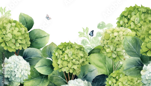 floral watercolor background green hydrangea flower