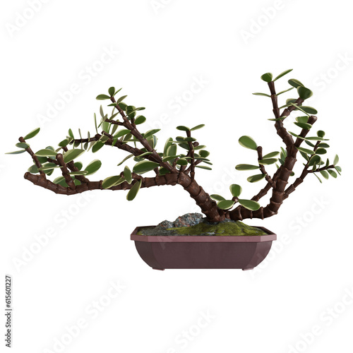 Green Garden Decoration Bonsai Tree. Cut Out. Realistic 3D Render.