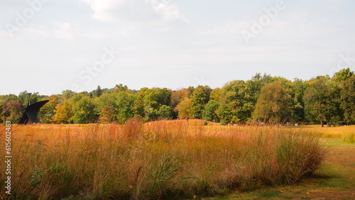 Autumn landscape in New York state