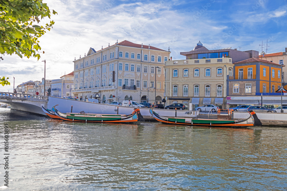 Fototapeta premium Vista da Cidade de Aveiro Portugal